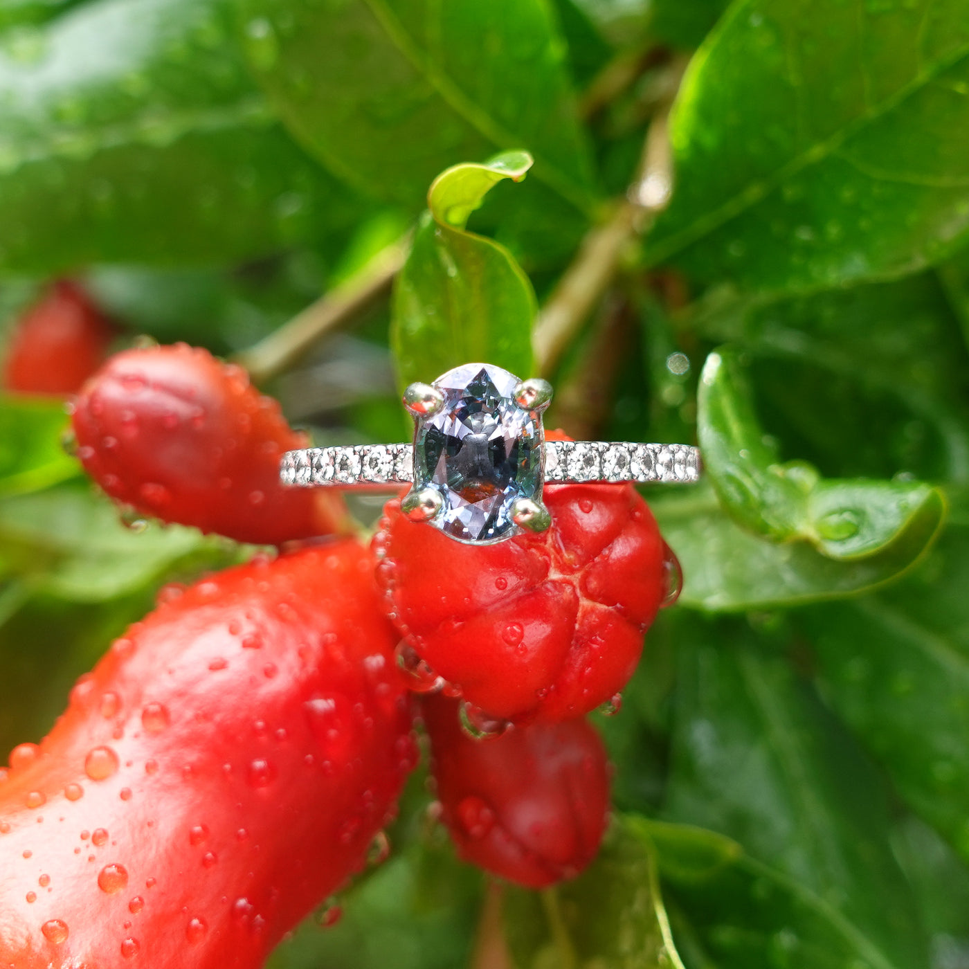 Sapphire & Diamond Ring