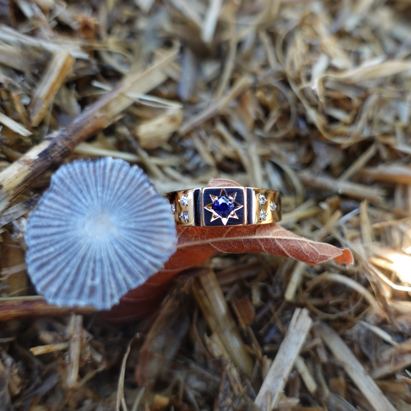 Sapphire and Diamond Ring⠀