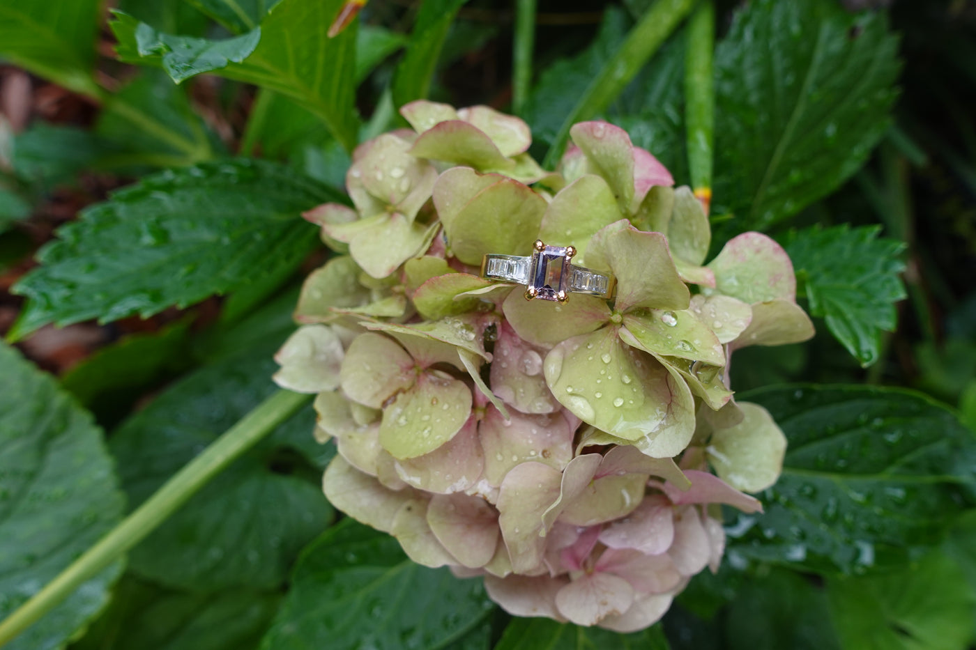 Morganite and diamond ring